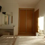 Barrinha 3*