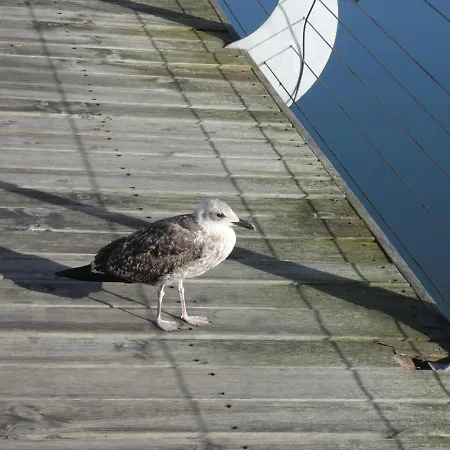 Barrinha برايا دي ميرا