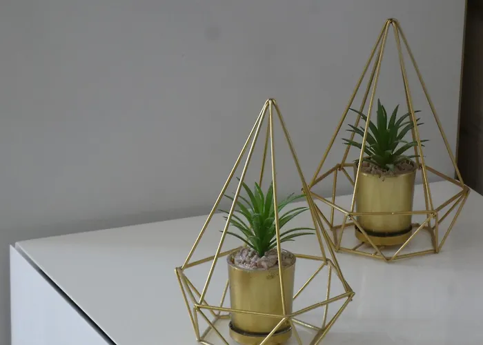 Barrinha Πανσιόν Praia de Mira